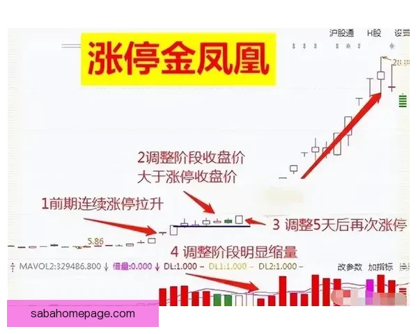沙巴体育世界杯投注攻略全面解析与投注技巧分享