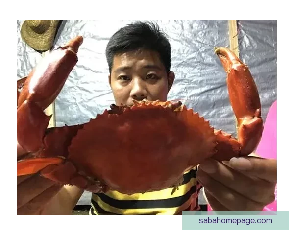 世界杯竞猜红包大放送参与即有机会赢取丰厚奖品助力你轻松畅玩赛事